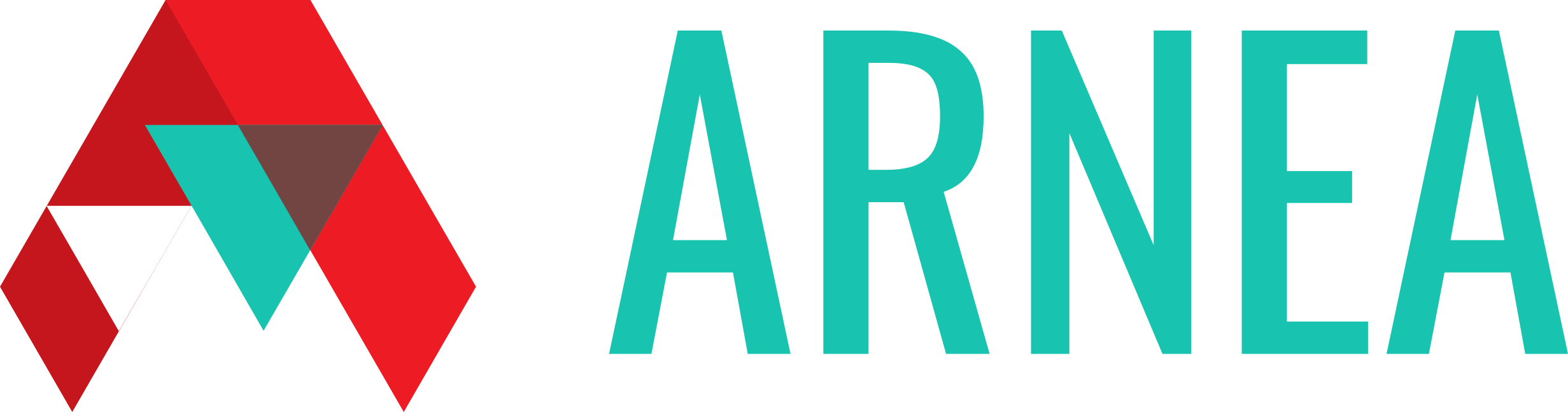 ARNEA logo
